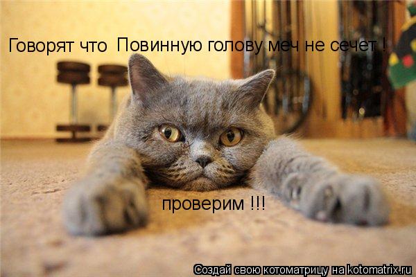 Говорят что Повинную голову меч не сечет ! проверим !!!... Котоматрица: Говорят что Повинную голову меч не сечет ! проверим !!!