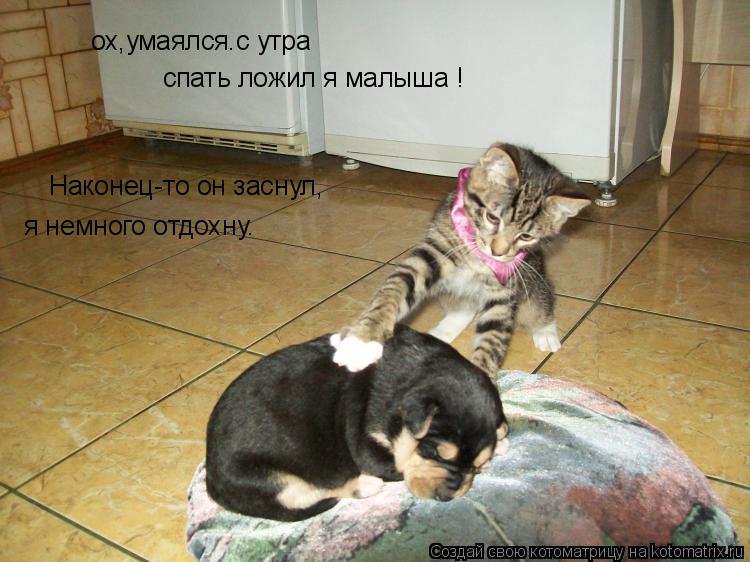 ох,умаялся.с утра спать ложил я малыша ! Наконец-то он заснул, я немного отдохну.... Котоматрица: ох,умаялся.с утра спать ложил я малыша ! Наконец-то он заснул, я немного отдохну.