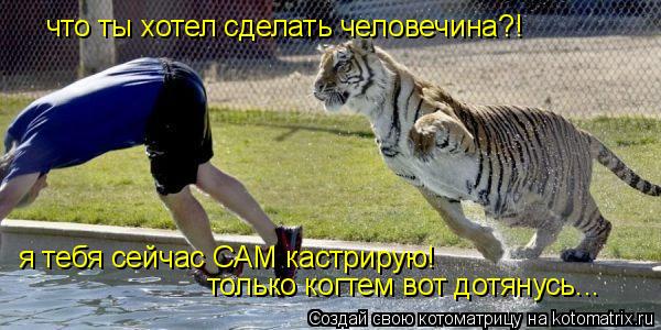 я тебя сейчас САМ кастрирую! только когтем вот дотянусь... что ты хотел сделать человечина?!... Котоматрица: я тебя сейчас САМ кастрирую! только когтем вот дотянусь... что ты хотел сделать человечина?!