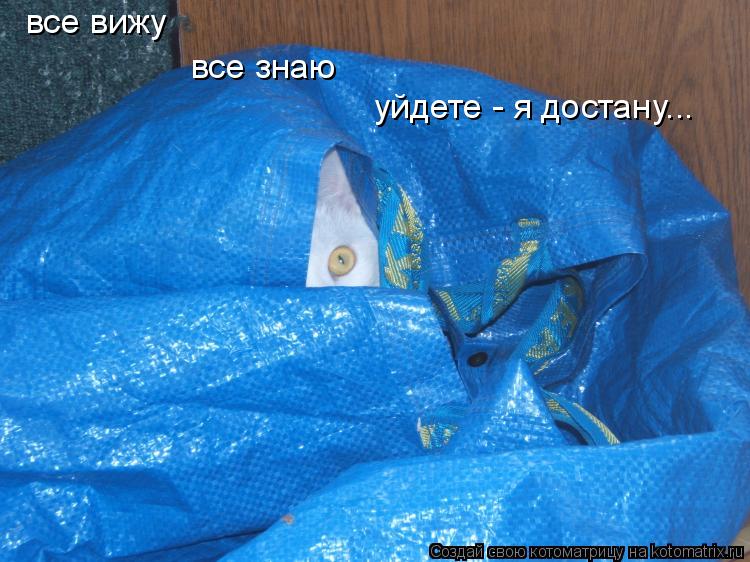 все вижу все знаю уйдете - я достану...... Котоматрица: все вижу все знаю уйдете - я достану...