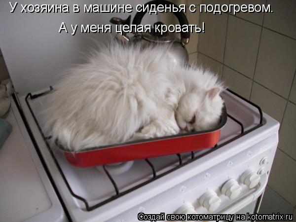 У хозяина в машине сиденья с подогревом. А у меня целая кровать!... Котоматрица: У хозяина в машине сиденья с подогревом. А у меня целая кровать!