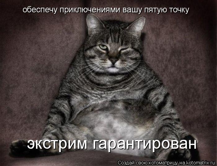 Котоматрица: обеспечу приключениями вашу пятую точку  экстрим гарантирован