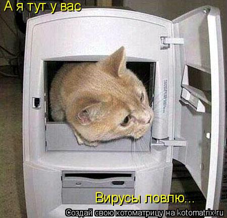 А я тут у вас Вирусы ловлю...... Котоматрица: А я тут у вас Вирусы ловлю...