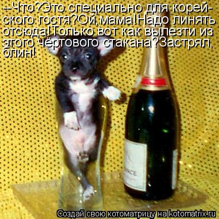 --Что?Это специально для корей- ского гостя?Ой,мама!Надо линять отсюда!Только вот как вылезти из этог... Котоматрица: --Что?Это специально для корей- ского гостя?Ой,мама!Надо линять отсюда!Только вот как вылезти из этого чёртового стакана?Застрял, блин!