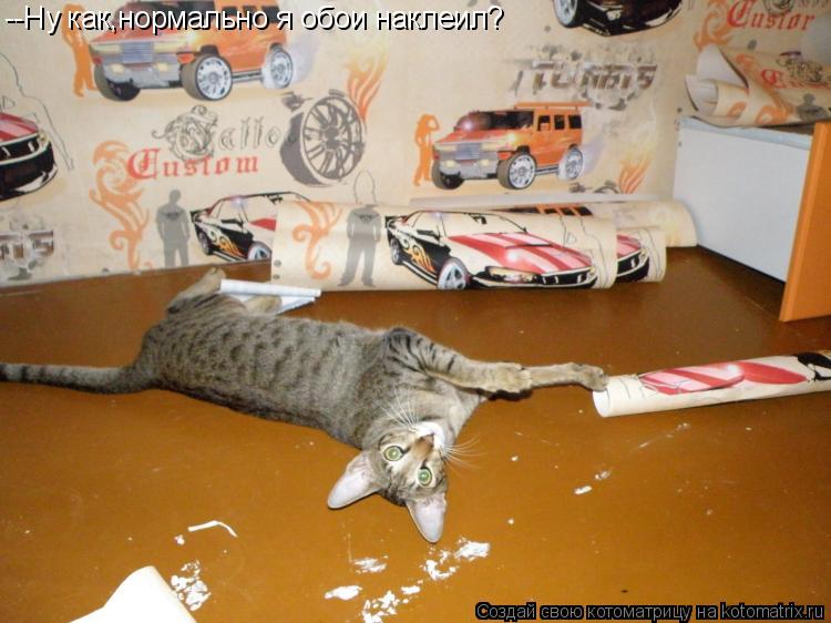 --Ну как,нормально я обои наклеил?... Котоматрица: --Ну как,нормально я обои наклеил?
