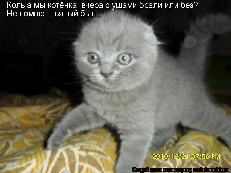 --Коль,а мы котёнка вчера с ушами брали или без? --Не помню--пьяный был...... Котоматрица: --Коль,а мы котёнка вчера с ушами брали или без? --Не помню--пьяный был...