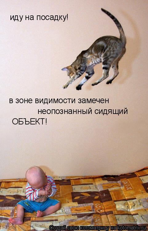 иду на посадку! в зоне видимости замечен неопознанный сидящий ОБЪЕКТ!... Котоматрица: иду на посадку! в зоне видимости замечен неопознанный сидящий ОБЪЕКТ!
