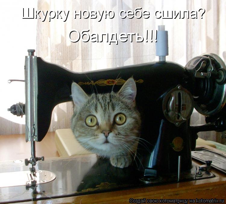 Шкурку новую себе сшила? Обалдеть!!!... Котоматрица: Шкурку новую себе сшила? Обалдеть!!!