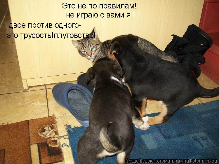 Это не по правилам! не играю с вами я ! двое против одного- это,трусость!плутовство!... Котоматрица: Это не по правилам! не играю с вами я ! двое против одного- это,трусость!плутовство!