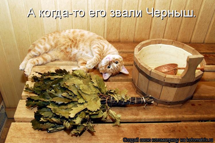 А когда-то его звали Черныш.... Котоматрица: А когда-то его звали Черныш.