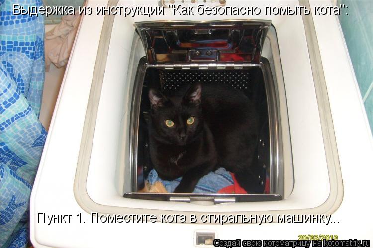 Выдержка из инструкции "Как безопасно помыть кота": Пункт 1. Поместите кота в стиральную машинку...... Котоматрица: Выдержка из инструкции "Как безопасно помыть кота": Пункт 1. Поместите кота в стиральную машинку...