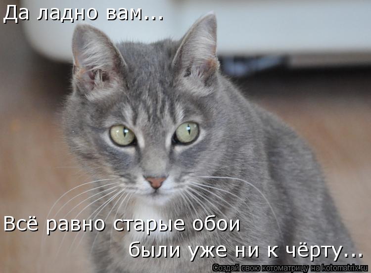 Да ладно вам... Всё равно старые обои были уже ни к чёрту...... Котоматрица: Да ладно вам... Всё равно старые обои были уже ни к чёрту...