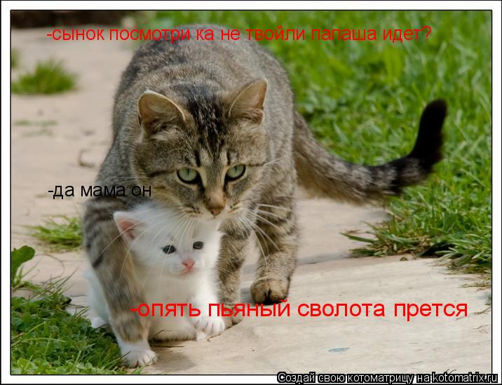 -сынок посмотри ка не твойли папаша идет? -да мама он -опять пьяный сволота прется... Котоматрица: -сынок посмотри ка не твойли папаша идет? -да мама он -опять пьяный сволота прется
