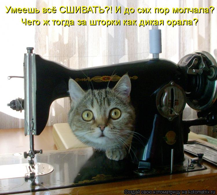 Умеешь всё СШИВАТЬ?! И до сих пор молчала? Чего ж тогда за шторки как дикая орала?... Котоматрица: Умеешь всё СШИВАТЬ?! И до сих пор молчала? Чего ж тогда за шторки как дикая орала?
