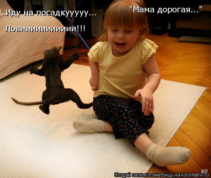 Иду на посадкууууу... Ловиииииииииии!!! "Мама дорогая..."... Котоматрица: Иду на посадкууууу... Ловиииииииииии!!! "Мама дорогая..."