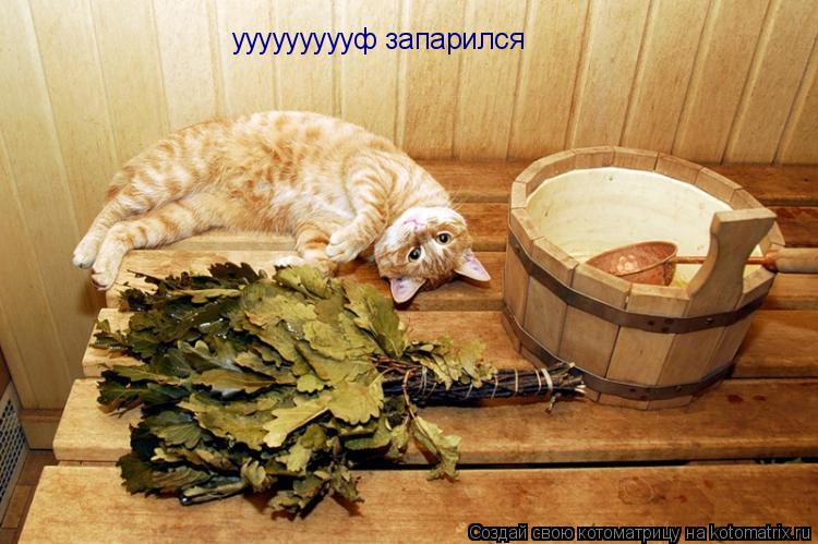 уууууууууф запарился... Котоматрица: уууууууууф запарился