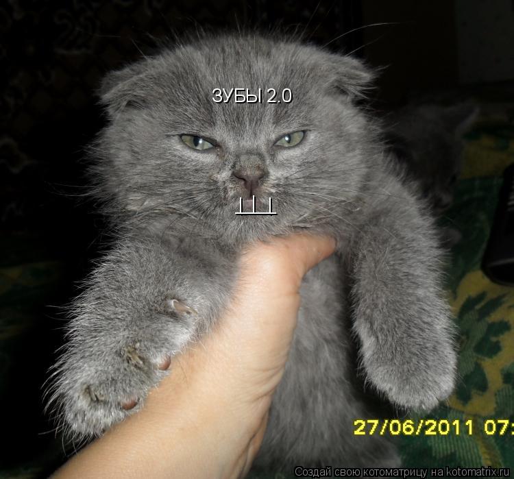 | | | | ____ ЗУБЫ 2.0... Котоматрица: | | | | ____ ЗУБЫ 2.0