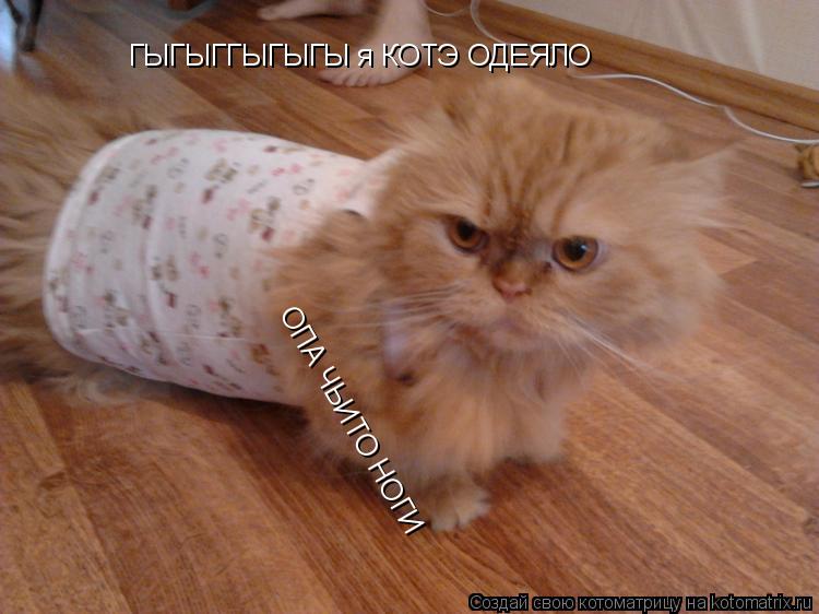 ГЫГЫГГЫГЫГЫ я КОТЭ ОДЕЯЛО ОПА ЧЬИТО НОГИ... Котоматрица: ГЫГЫГГЫГЫГЫ я КОТЭ ОДЕЯЛО ОПА ЧЬИТО НОГИ