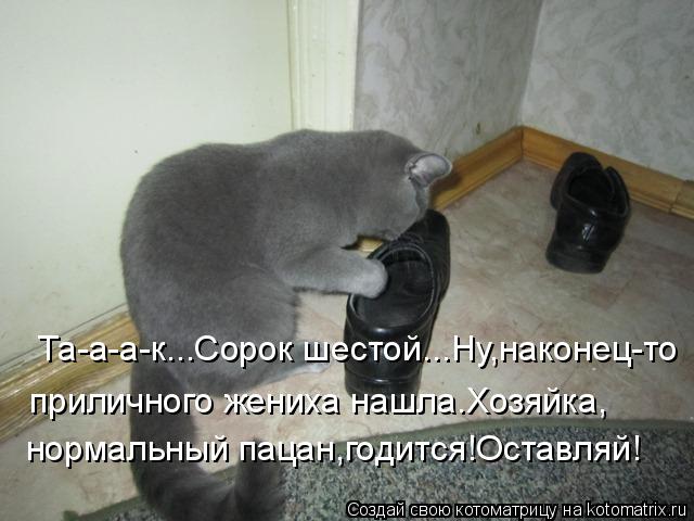 Та-а-а-к...Сорок шестой...Ну,наконец-то приличного жениха нашла.Хозяйка, нормальный пацан,годится!Ост... Котоматрица: Та-а-а-к...Сорок шестой...Ну,наконец-то приличного жениха нашла.Хозяйка, нормальный пацан,годится!Оставляй!