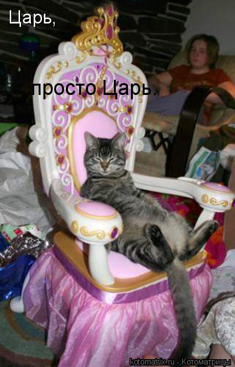Царь, просто Царь.... Котоматрица: Царь, просто Царь.