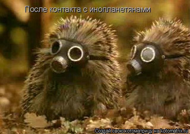 После контакта с инопланетянами... Котоматрица: После контакта с инопланетянами