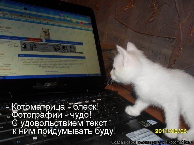 - Котоматрица - блеск! Фотографии - чудо! С удовольствием текст к ним придумывать буду!... Котоматрица: - Котоматрица - блеск! Фотографии - чудо! С удовольствием текст к ним придумывать буду!