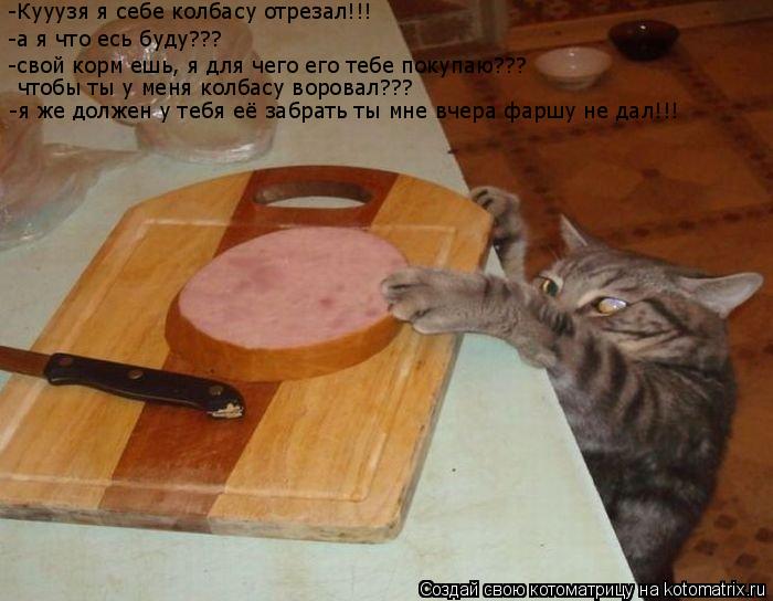 Котоматрица: -Кууузя я себе колбасу отрезал!!! -а я что есь буду??? -свой корм ешь, я для чего его тебе покупаю??? чтобы ты у меня колбасу воровал??? -я же должен 