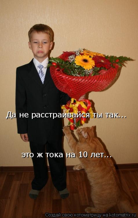 Да не расстраивайся ты так... это ж тока на 10 лет...... Котоматрица: Да не расстраивайся ты так... это ж тока на 10 лет...