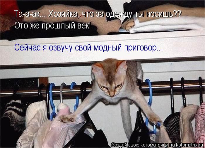 Котоматрица: Та-а-ак... Хозяйка, что за одежду ты носишь?? Это же прошлый век! Сейчас я озвучу свой модный приговор...