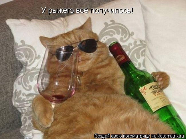 У рыжего всё получилось!... Котоматрица: У рыжего всё получилось!