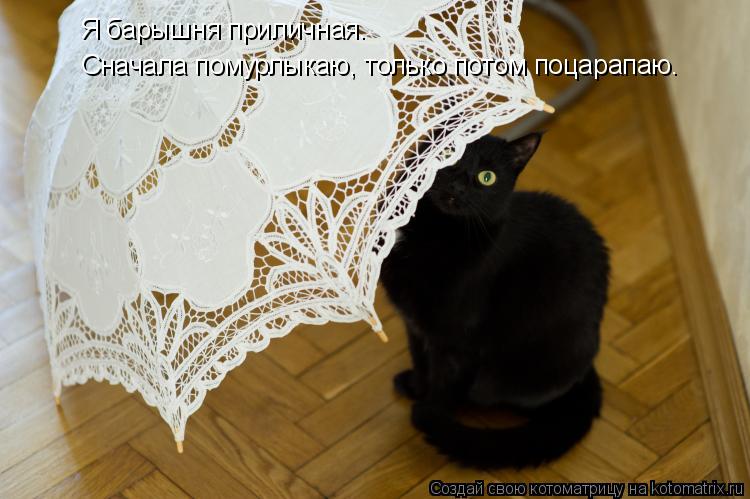 Я барышня приличная. Сначала помурлыкаю, только потом поцарапаю.... Котоматрица: Я барышня приличная. Сначала помурлыкаю, только потом поцарапаю.