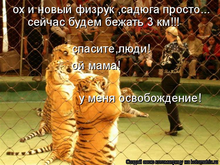 у меня освобождение! ох и новый физрук ,садюга просто... сейчас будем бежать 3 км!!! ой мама! спасите... Котоматрица: у меня освобождение! ох и новый физрук ,садюга просто... сейчас будем бежать 3 км!!! ой мама! спасите,люди!