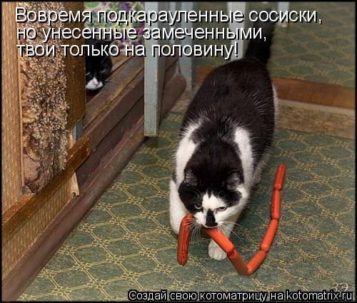 Вовремя подкарауленные сосиски , но унесенные замеченными, твои только на половину!... Котоматрица: Вовремя подкарауленные сосиски , но унесенные замеченными, твои только на половину!