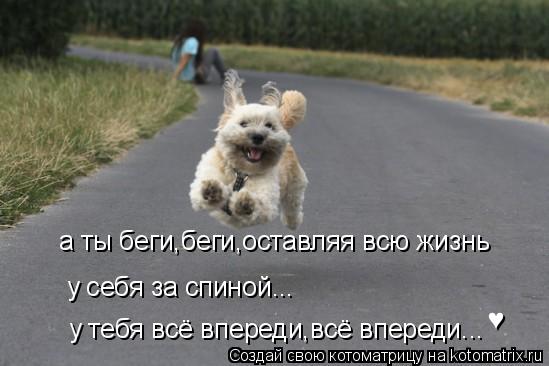 а ты беги,беги,оставляя всю жизнь у себя за спиной... у тебя всё впереди,всё впереди... ♥... Котоматрица: а ты беги,беги,оставляя всю жизнь у себя за спиной... у тебя всё впереди,всё впереди... ♥