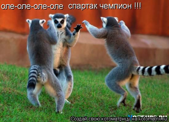 оле-оле-оле-оле спартак чемпион !!!... Котоматрица: оле-оле-оле-оле спартак чемпион !!!