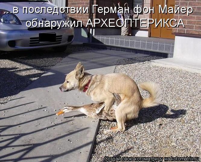 ...в последствии Герман фон Майер обнаружил АРХЕОПТЕРИКСА... Котоматрица: ...в последствии Герман фон Майер обнаружил АРХЕОПТЕРИКСА