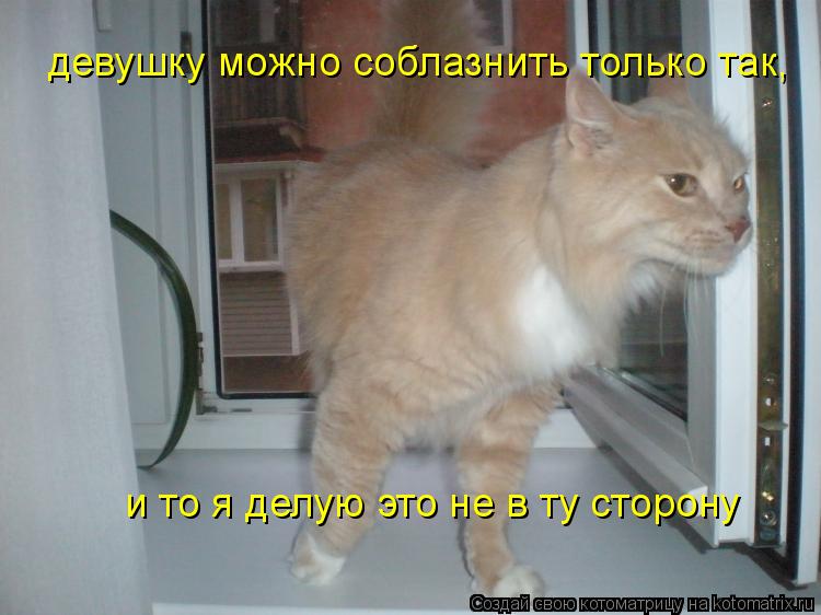 девушку можно соблазнить только так, и то я делую это не в ту сторону... Котоматрица: девушку можно соблазнить только так, и то я делую это не в ту сторону