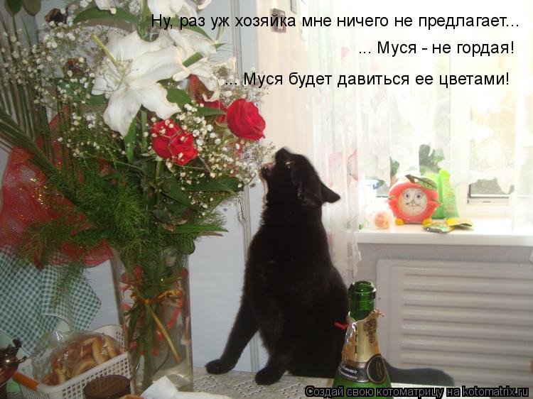 Ну, раз уж хозяйка мне ничего не предлагает... ... Муся - не гордая! ... Муся будет давиться ее цвет... Котоматрица: Ну, раз уж хозяйка мне ничего не предлагает... ... Муся - не гордая! ... Муся будет давиться ее цветами!