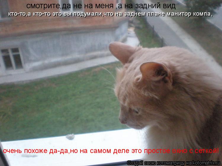 смотрите,да не на меня ,а на задний вид кто-то,а кто-то это вы подумали,что на заднем плане манитор к... Котоматрица: смотрите,да не на меня ,а на задний вид кто-то,а кто-то это вы подумали,что на заднем плане манитор компа, очень похоже да-да,но на самом деле э