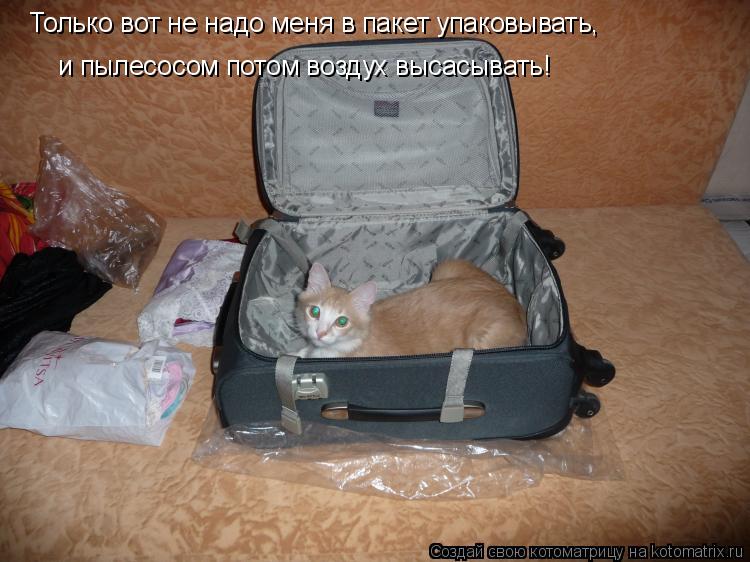 Только вот не надо меня в пакет упаковывать, и пылесосом потом воздух высасывать!... Котоматрица: Только вот не надо меня в пакет упаковывать, и пылесосом потом воздух высасывать!