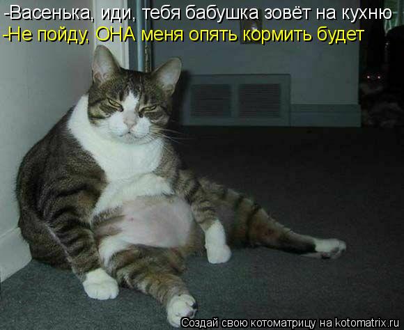 -Васенька, иди, тебя бабушка зовёт на кухню -Не пойду, ОНА меня опять кормить будет... Котоматрица: -Васенька, иди, тебя бабушка зовёт на кухню -Не пойду, ОНА меня опять кормить будет