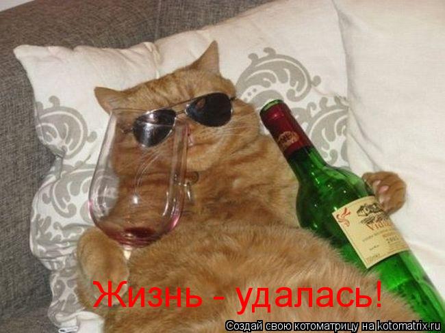 Жизнь - удалась!... Котоматрица: Жизнь - удалась!