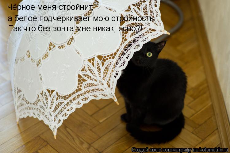 Чёрное меня стройнит, а белое подчёркивает мою стройность. Так что без зонта мне никак, ясно?!... Котоматрица: Чёрное меня стройнит, а белое подчёркивает мою стройность. Так что без зонта мне никак, ясно?!