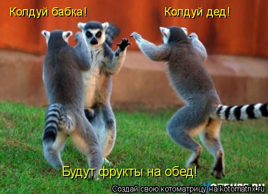 Колдуй бабка! Колдуй дед! Будут фрукты на обед!... Котоматрица: Колдуй бабка! Колдуй дед! Будут фрукты на обед!