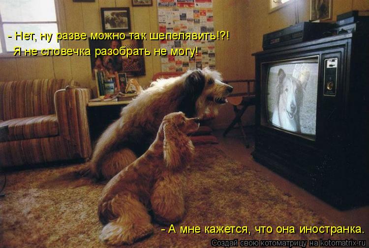 - Нет, ну разве можно так шепелявить!?! Я не словечка разобрать не могу! - А мне кажется, что она ино... Котоматрица: - Нет, ну разве можно так шепелявить!?! Я не словечка разобрать не могу! - А мне кажется, что она иностранка.