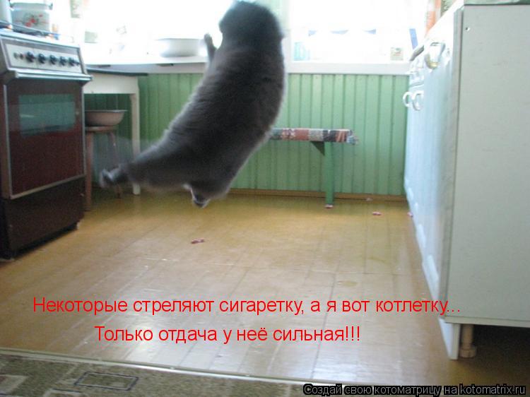 Котоматрица: Некоторые стреляют сигаретку, а я вот котлетку... Только отдача у неё сильная!!!