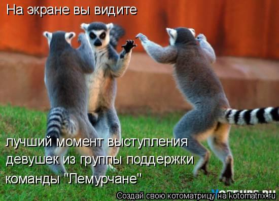 Котоматрица: На экране вы видите лучший момент выступления девушек из группы поддержки  команды "Лемурчане"