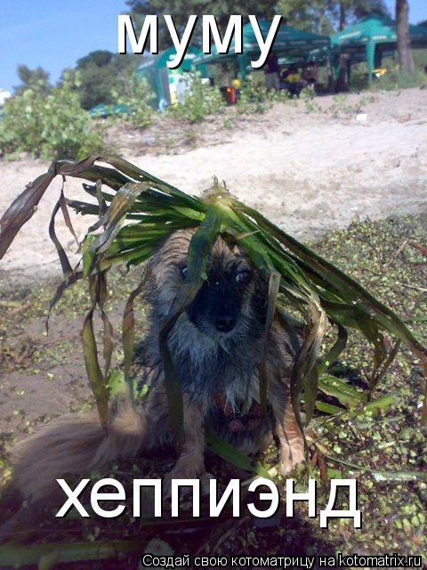 Котоматрица: муму хеппиэнд