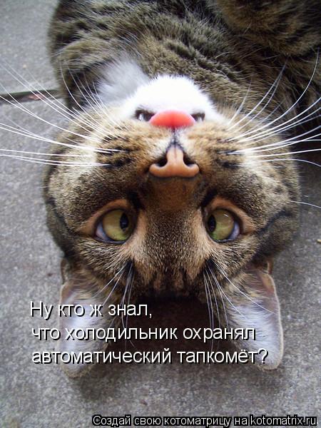 Котоматрица: Ну кто ж знал, что холодильник охранял автоматический тапкомёт?