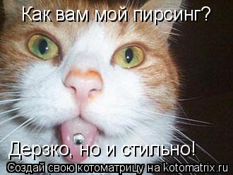 Котоматрица: Как вам мой пирсинг? Дерзко, но и стильно!